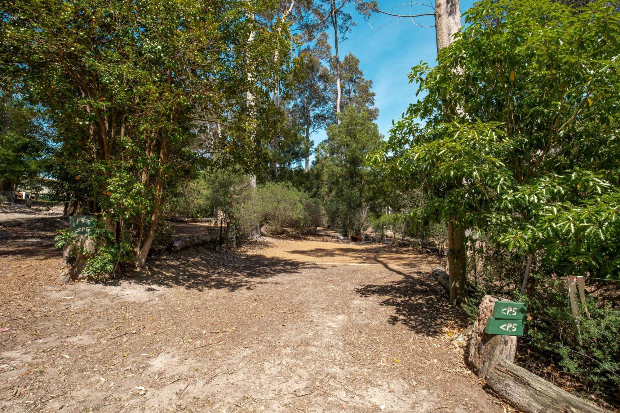 Durras Lake North Holiday Park ภายนอก รูปภาพ